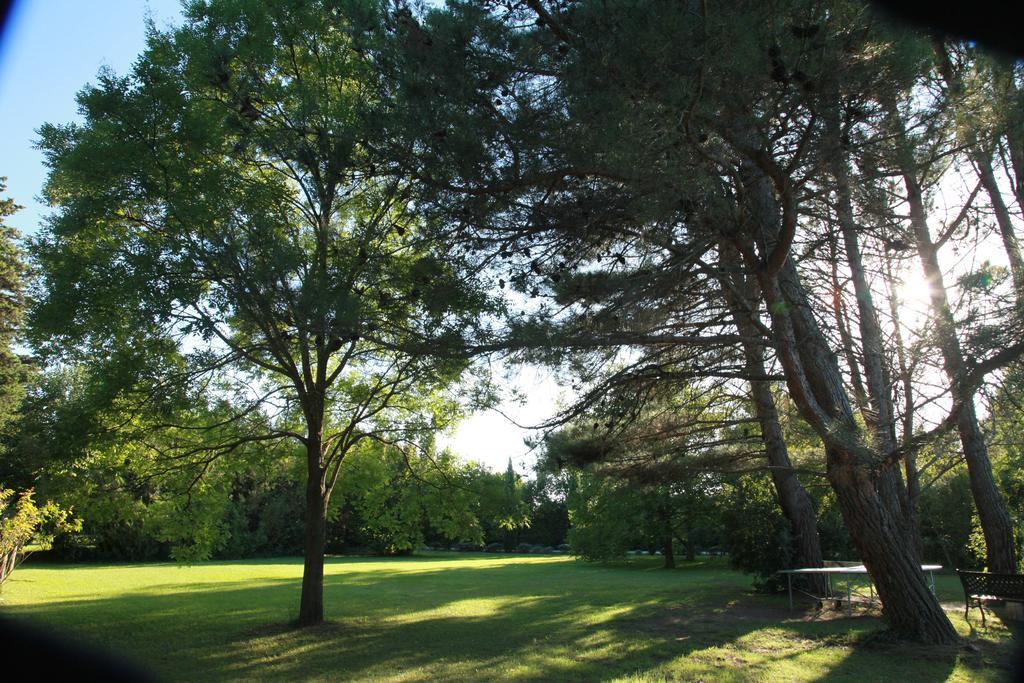 Mas La Provence Acomodação com café da manhã LʼIsle-sur-la-Sorgue Exterior foto